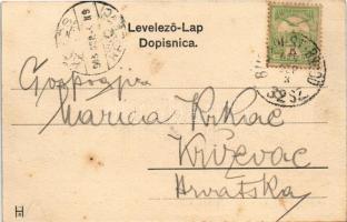 1905 Dálya, Dalja, Dalj (Erdőd, Erdut); Planinska ulica / Weinberg-Strasse / utca, Josef Krausz üzle...