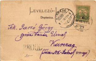1902 Dálya, Dalja, Dalj; Gőzkomp Gombos és Erdőd között a Dunán, gőzmozdony kompra állítása / Dampff...
