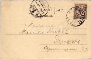 1901 Dálya, Dalja, Dalj; Gőzkomp Gombos és Erdőd között a Dunán, gőzmozdony kompra állítása. Kiadja ...