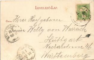 1901 Esztergom, Bazilika, úszó vízi hajómalom (vízimalom). Stromf Ignác kiadása / basilica, floating...