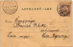 1900 Esztergom, Bazilika, úszó vízi hajómalom (vízimalom). Schwidernoch Károly műintézete / basilica...