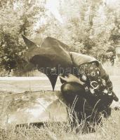 Pánik Ping Pong 2. Bada Dada Táborunk retrospektív pánik kiállítása. Bevezető: Beke Zsófia. Bp., 200...