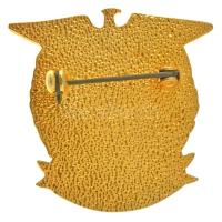 DN "Arkansas Deputy Sheriff" aranyozott fém jelvény német nyelvű tanúsítvánnyal T:UNC