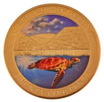 Szent Ilona 2013. 25p aranyozott fém "II. Erzsébet / Teknős" multicolor festéssel T:UNC uj...