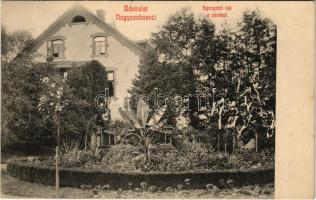 1909 Nagyszabos, Nagyszlabos, Slavosovce; Papírgyári igazgatói lak és park. Kiadja a Nagyszabosi Papírgyári Szövetkezet / directorate of the paper factory, park