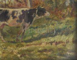 Szabó Gabi jelzéssel: Tehenek, 1920-as évek. Olaj, karton. Üvegezett fakeretben. 25x43 cm