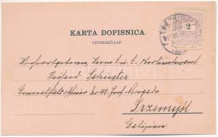 1899 (Vorläufer) Petrinya, Petrinja; Art Nouveau, floral (fl)