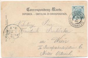 1900 Obrovac, Obrovazzo; general view. Art Nouveau, floral + titkosírás / cryptography (fa)