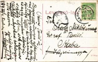 1909 Nagyszalonta, Salonta; Toldi Miklós tér, Hitelszövetkezet, Csonka torony, Róth Ármin vas és fűs...