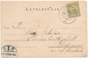 1904 Gyulafalva (Kommandó, Comandau); Gyaulafalvi fűrésztelep, tönk szállító vonatok, iparvasút, gőz...