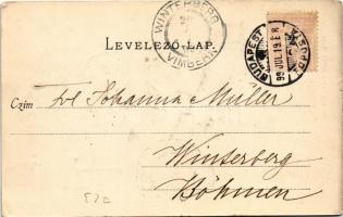 1899 (Vorläufer) Budapest, Lánchíd. Divald Károly 12. sz. (kis szakadás / small tear)