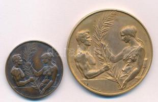 Damkó József (1872-1955) / Exner Károly (1850-1919) DN "Magyar Országos Torna Szövetség" k...