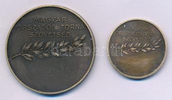 Damkó József (1872-1955) / Exner Károly (1850-1919) DN "Magyar Országos Torna Szövetség" k...