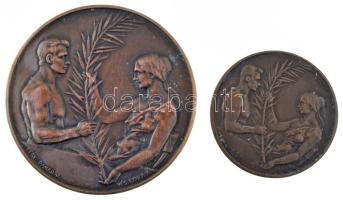 Damkó József (1872-1955) / Exner Károly (1850-1919) DN Magyar Országos Torna Szövetség kétoldalas bronz emlékérem (2xklf) (30mm, 45mm) T:XF felületi karcok, patina