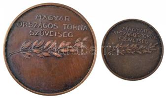 Damkó József (1872-1955) / Exner Károly (1850-1919) DN "Magyar Országos Torna Szövetség" k...