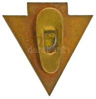 1938. "Munkás Testedző Egyesület - MTE 1908-1938" bronz gomblyukjelvény (29x28mm) T:AU