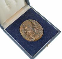 DN "Tihany" bronz emlékérem dísztokban. Szign.:LK? (70x62mm) T:UNC