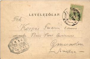 1902 Verőce, Svadló Ferenc borász és borkereskedő villája. Blau Márton kiadása, Art Nouveau