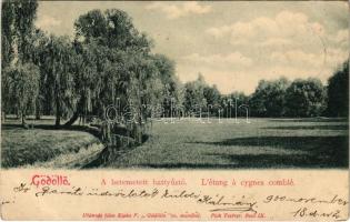 1900 Gödöllő, A betemetett hattyús tó. Ripka F. / L'étang a cygnes comblé (EK)