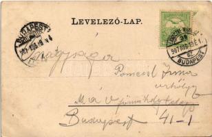 1907 Eger, Kossuth tér + "LAVOCZNE-MISKOLCZ-BUDAPEST 38. SZ." vasúti mozgóposta (ázott sar...