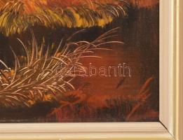 Barnóczky György (1948-): Őszi táj. Olaj, farost, jelezve jobbra lent. Fakeretben. 50×70 cm