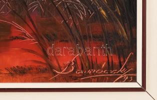 Barnóczky György (1948-): Balatoni naplemente. Olaj, farost, jelezve jobbra lent. Fakeretben. 50×70 ...