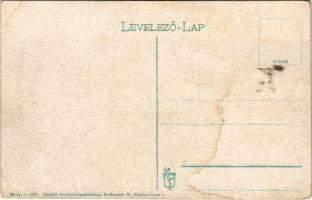 Trencsén, Trencín; vasúti híd, vár. Vasúti levelezőlapárusítás 28-1917. / railway bridge, castle (EK...