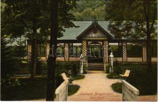 Koritnyica, Korytnica; Béla forrás. Kohn A. kiadása / Albrechts-Brunnen / spa, spring source