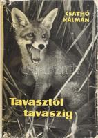 Csathó Kálmán: Tavasztól tavaszig. Egy író vadászemlékei. Bp., 1962, Szépirodalmi. Első kiadás. Kiadói félvászon-kötés, szakadt papír védőborítóban, kopott, foltos borítóval, javított kötéssel, kissé dohos, volt könyvtári példány, megviselt állapotban.