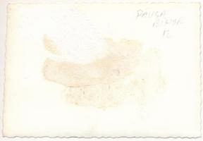 Váradpósa, Pósa, Pausa; Görögkeleti fatemplom / Orthodox wooden church. photo (non PC) (8,4 cm x 5,9...