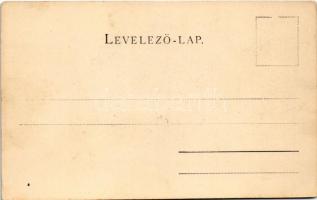 Lőcsefüred, Lőcse-fürdő, Levocské Kúpele (Lőcse, Levoca); Fürdő ház. Schmidt Edgar kiadása / Badehau...