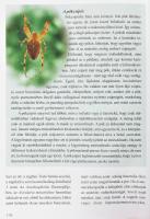 Winkler Róbert: Nagyvárosi természetbúvár. Bp., 2005, Tericum. Gazdag képanyaggal illusztrált. Kiadó...