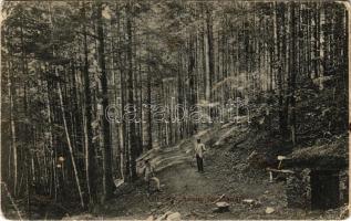 1908 Lőcsefüred, Levoca Kúpele; erdő az Arany-forrásnál. Singer kiadása / forest with spring (Rb)