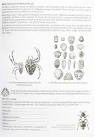 Nyitott szemmel Herman Ottó útjain. Felfedező füzet felsőtagozatosoknak és tanáraiknak. Szerk.: Vásá...