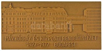 1977. "MÁV.Kórház és Központi Rendelőintézet 1927-1977, Budapest" bronz emlékplakett eredeti tokban (40x80mm) T:UNC