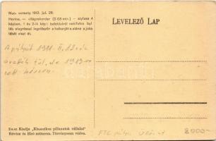 1913 július 28. MAC (Magyar Atlétikai Club) verseny, Horine (világrekorder) stílusa. 1. és 2. kép: b...