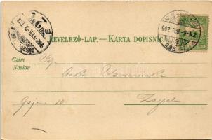 1902 Belovár, Bjelovar; Kolodvorska ulica / Vasút utca / street + "SZLÁV. VERŐCZE-KÖRÖS 296. SZ...