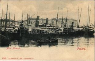 Fiume, Rijeka; Molo Adamich, steamships. C. Ledermann jr. 4248.