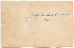 1930 Vajdahunyad, Hunedoara; iskolások csoportja / group of students. photo (non PC) (vágott / cut)