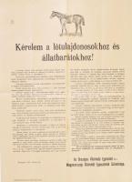 1915 Kérelem a lótulajdonosokhoz és állatbarátokhoz. Az Országos Állatvédő Egyesület és a Magyarországi Állatvédő Egyesületek Szövetségének felhívása 42x58 cm