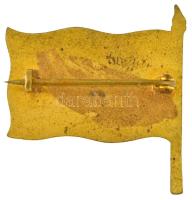 Osztrák-Magyar Monarchia ~1914. "44. sz. Császári és Királyi Gyalogezred" zománcozott bron...