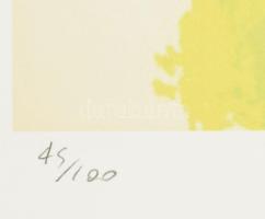 Andy Warhol (1928-1987): Mao Ce Tung - Mao Zhe Dong. Ofszet litográfia, papír, jelzett a nyomaton. K...