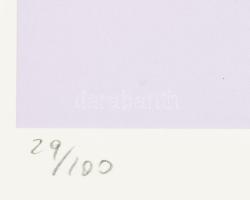 Andy Warhol (1928-1987): Pepsi Cola . Ofszet litográfia, papír, jelzett a nyomaton. Kézzel sorszámoz...