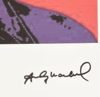Andy Warhol (1928-1987): Lucille Ball. Ofszet litográfia, papír, jelzett a nyomaton. Kézzel sorszámo...