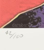 Andy Warhol (1928-1987): Lucille Ball. Ofszet litográfia, papír, jelzett a nyomaton. Kézzel sorszámo...