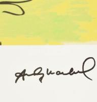 Andy Warhol (1928-1987): Mao. Ofszet litográfia, papír, jelzett a nyomaton. Kézzel sorszámozott: 22 ...