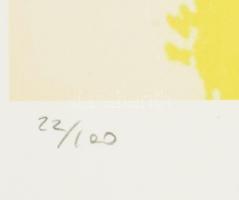 Andy Warhol (1928-1987): Mao. Ofszet litográfia, papír, jelzett a nyomaton. Kézzel sorszámozott: 22 ...