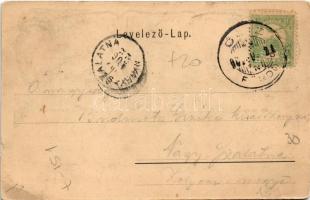 1902 Csíz, Csízfürdő, Kúpele Ciz; Horváth nyaraló, Mária lak, Hermin lak / villas, spa. Art Nouveau ...