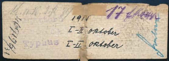 1918-1940 Molnár (Moskovitz) Lajos zsidó származású katona I. és II. világháborús katonai dokumentum...