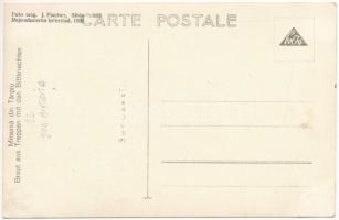 Szásztörpény, Treppen, Tarpiu; Mireasa / Braut aus Treppen mit den Bittknechten / Erdélyi házaspár. ...